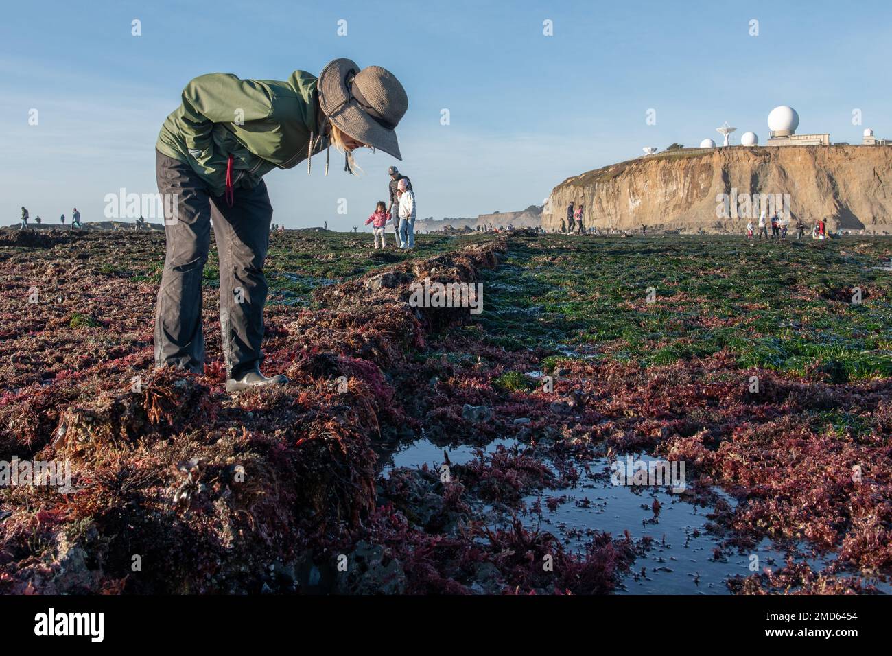La mise en commun des marées est une activité de plein air populaire à marée basse en Californie, ici les visiteurs recherchent les bassins de marée pour les animaux à Pillar point bluff. Banque D'Images