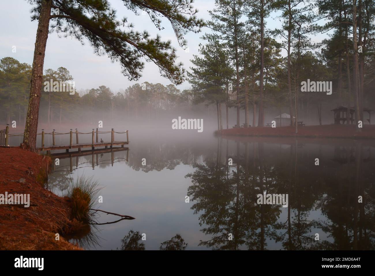 brouillard le matin le long de l'étang calme et du quai en bois Banque D'Images