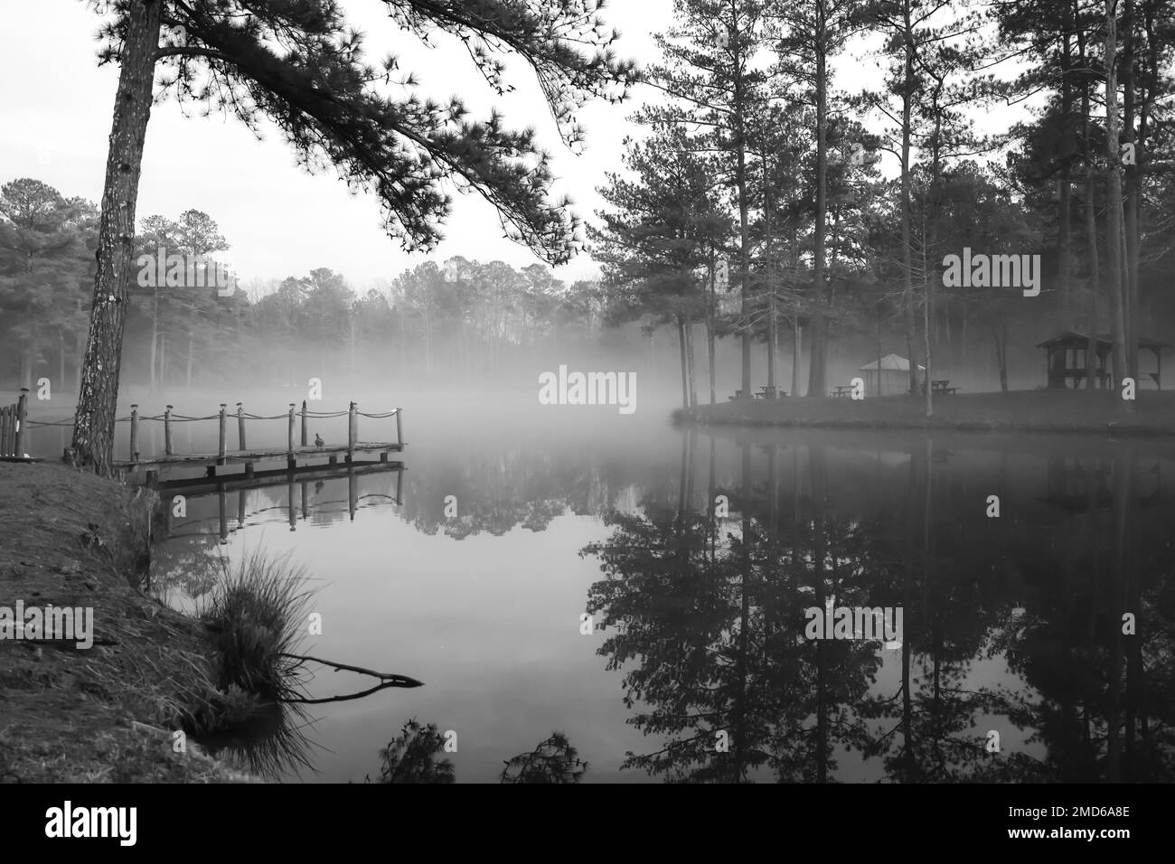 brouillard le matin le long de l'étang calme et du quai en bois Banque D'Images