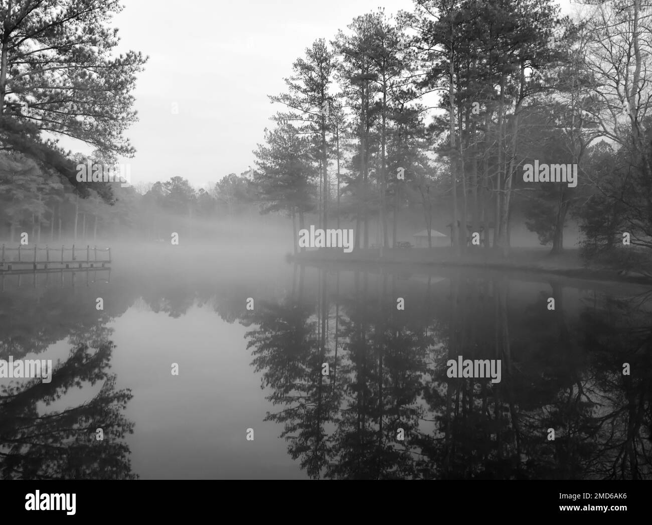 Brouillard matinal sur l'eau calme de l'étang Banque D'Images