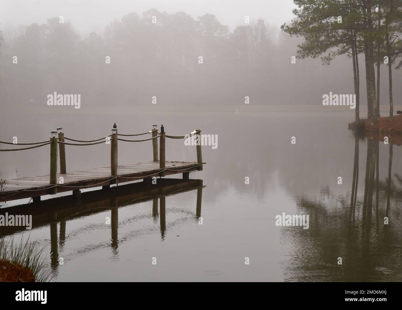 brouillard le matin le long de l'étang calme et du quai en bois Banque D'Images
