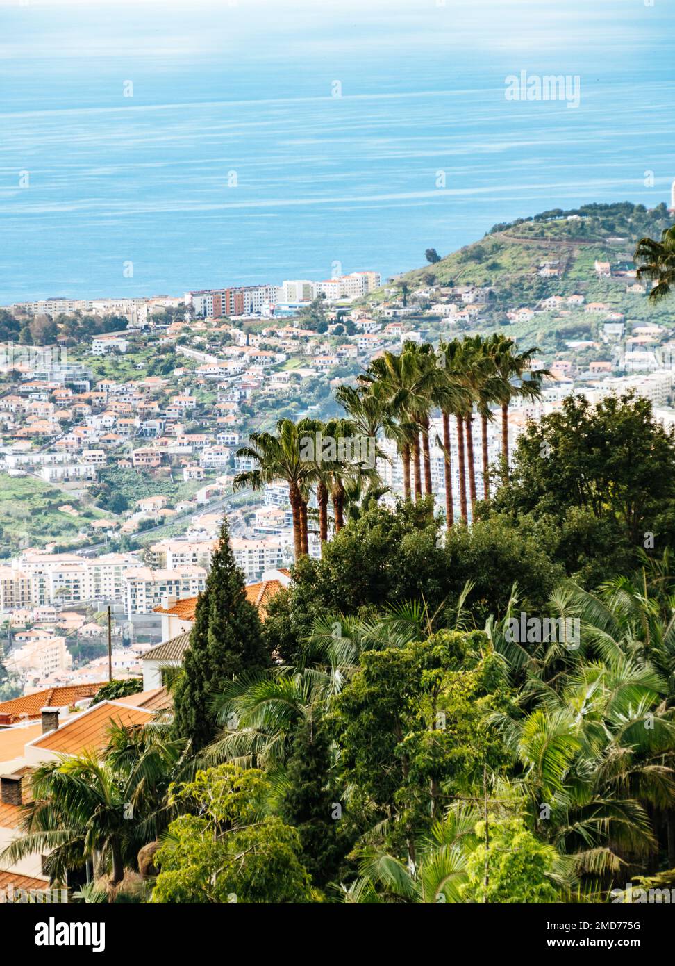 Vue sur Funchal depuis le jardin tropical du Monte Palace sur l'île de Madère Banque D'Images