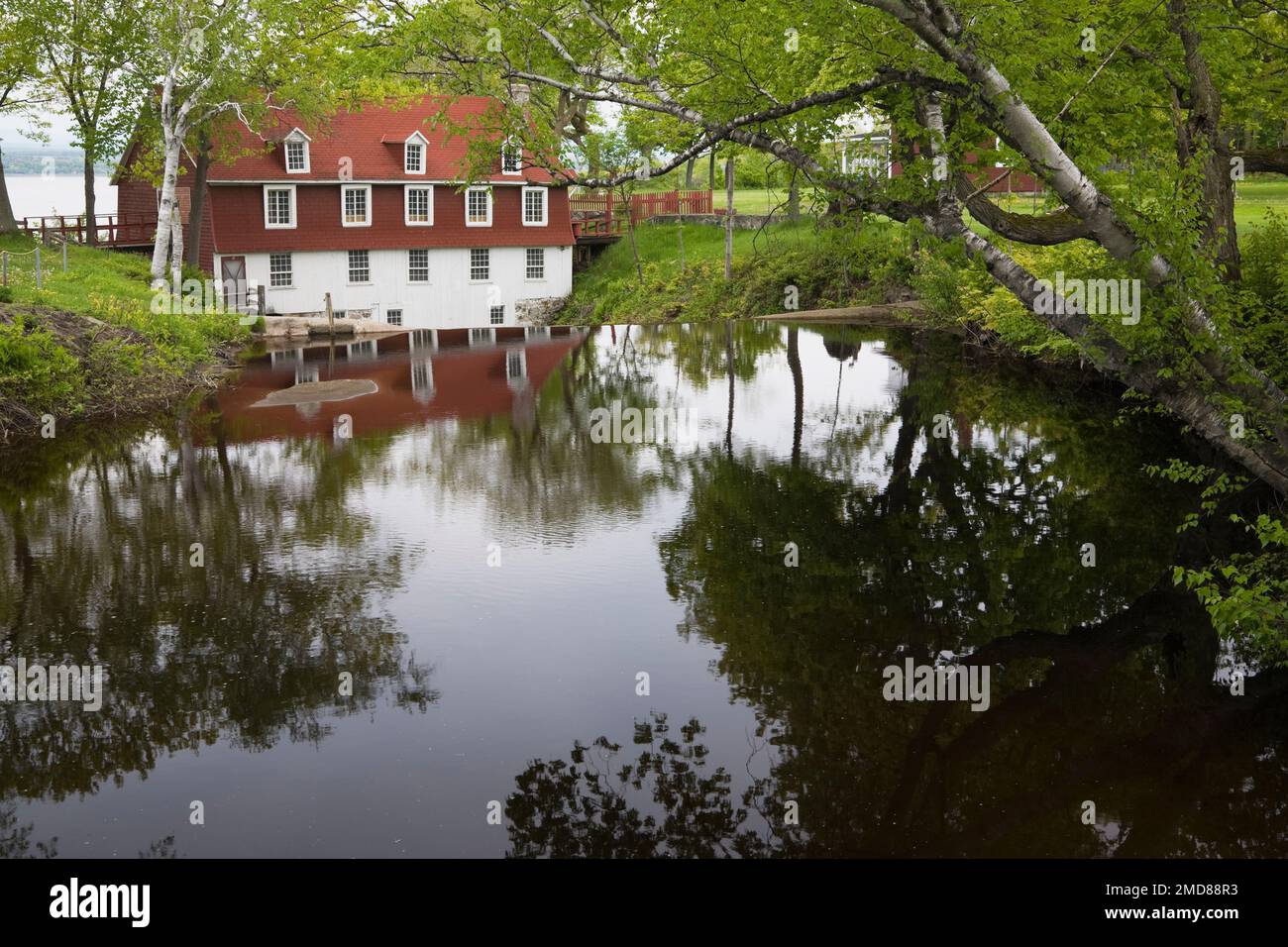 Moulin Beaumont au printemps, Chaudière-Appalaches, Québec, Canada. Banque D'Images