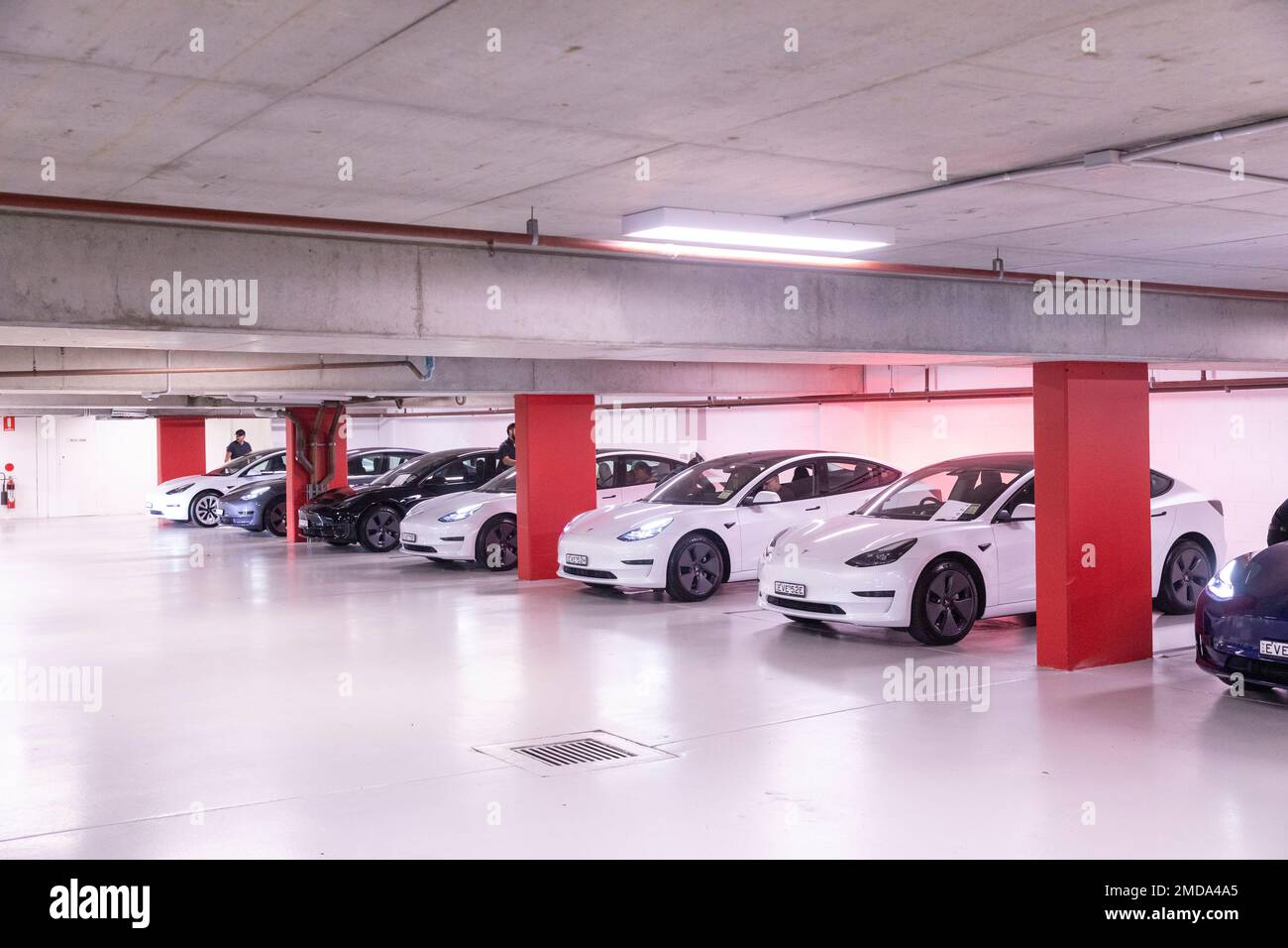 Les voitures modèle 3 de Tesla dans le parking en sous-sol attendent l'arrivée de nouveaux propriétaires pour récupérer les voitures et partir en voiture, jour de collecte de Tesla, Sydney, Nouvelle-Galles du Sud, Australie Banque D'Images