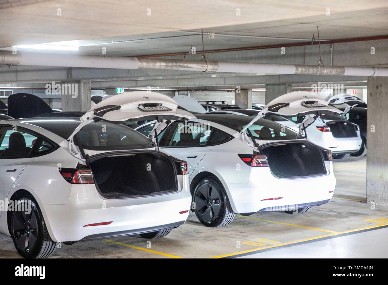 Voitures Tesla modèle 3 en blanc, avec bottes ouvertes, attendant que les clients viennent chercher chez le concessionnaire de Sydney, Sydney, Nouvelle-Galles du Sud, Australie Banque D'Images