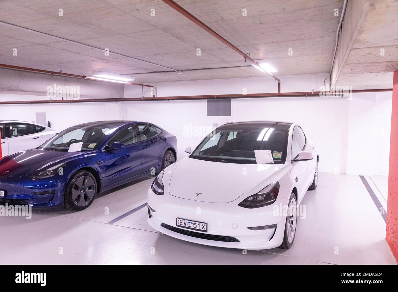 Les voitures Tesla blanc et bleu modèle 3 attendent la collecte par les propriétaires, dossier de livraison sur le pare-brise, Chatswood Sydney, Australie, sécurisé dans le parc souterrain Banque D'Images