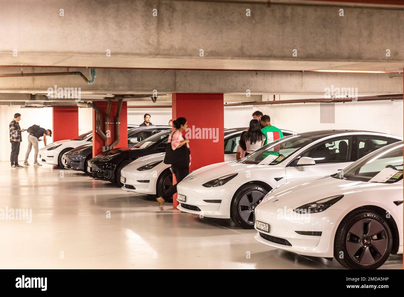 Les nouveaux propriétaires collectent leur véhicule électrique Tesla modèle 3 de Tesla à Sydney, brochure Hanovre sur le pare-brise, Nouvelle-Galles du Sud, Australie - New car Day Banque D'Images