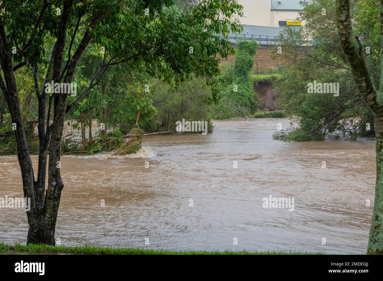 Inondation au parc Teralba à Mitchelton pendant l'inondation extrême de février 2022 en Australie Banque D'Images
