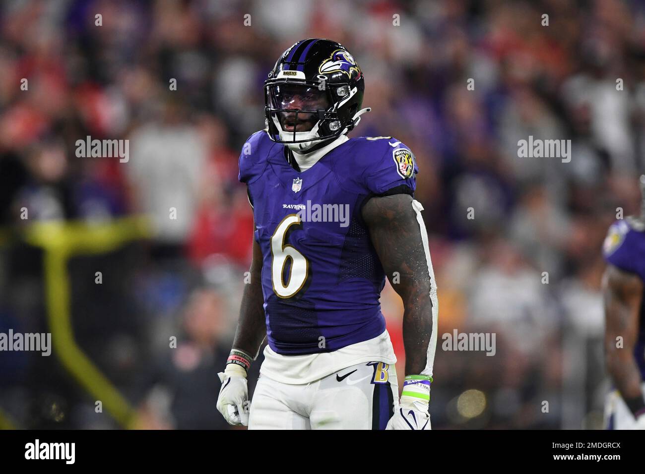 Linebacker Patrick Queen of the Baltimore Ravens in action during a News  Photo - Getty Images