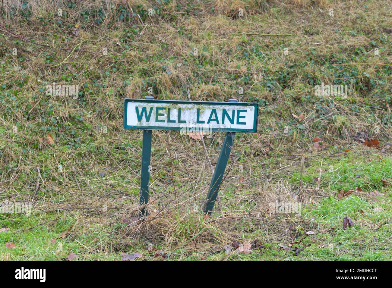 Un panneau de rue anglais rural Well Lane, Country Lane, herbe verge couverte, panneau wonky Banque D'Images