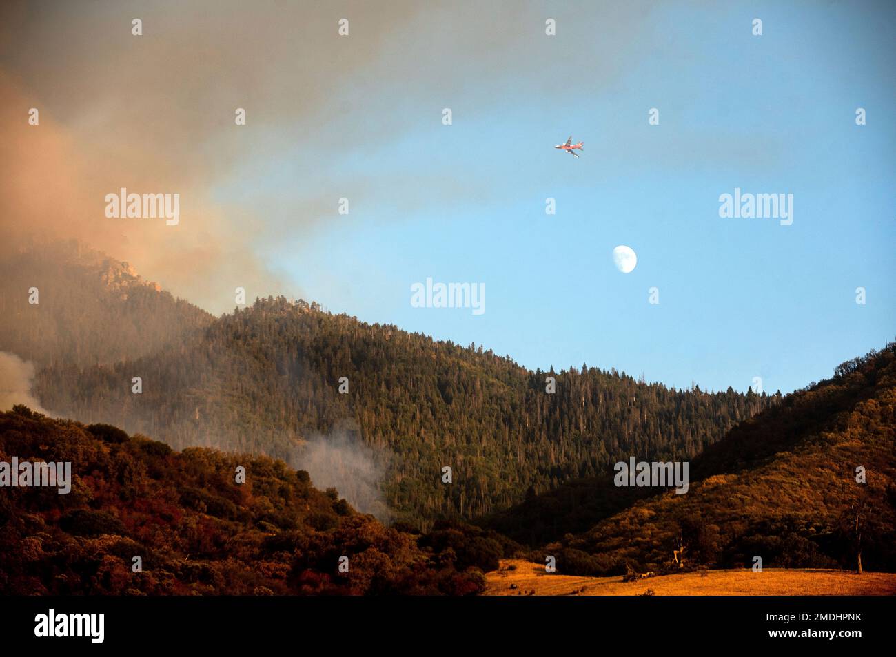 An air tanker prepares to drop retardant on the Windy Fire burning on Tule River Reservation in California on Thursday, Sept. 16, 2021. The fire has burned into the Peyrone Sequoia Grove and continues to threaten other sequoias according to fire officials. (AP Photo/Noah Berger) Banque D'Images