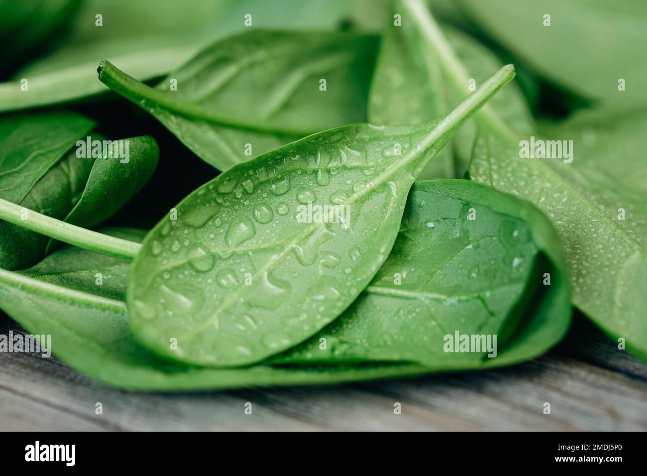 Mouillez les feuilles d'épinards verts frais sur un fond en bois. Banque D'Images