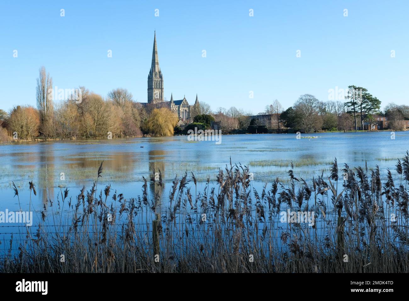 2023 inondations à Salisbury. Cathédrale de Salisbury vue depuis les prés de la ville de Path Watermeadows. ROYAUME-UNI. Banque D'Images