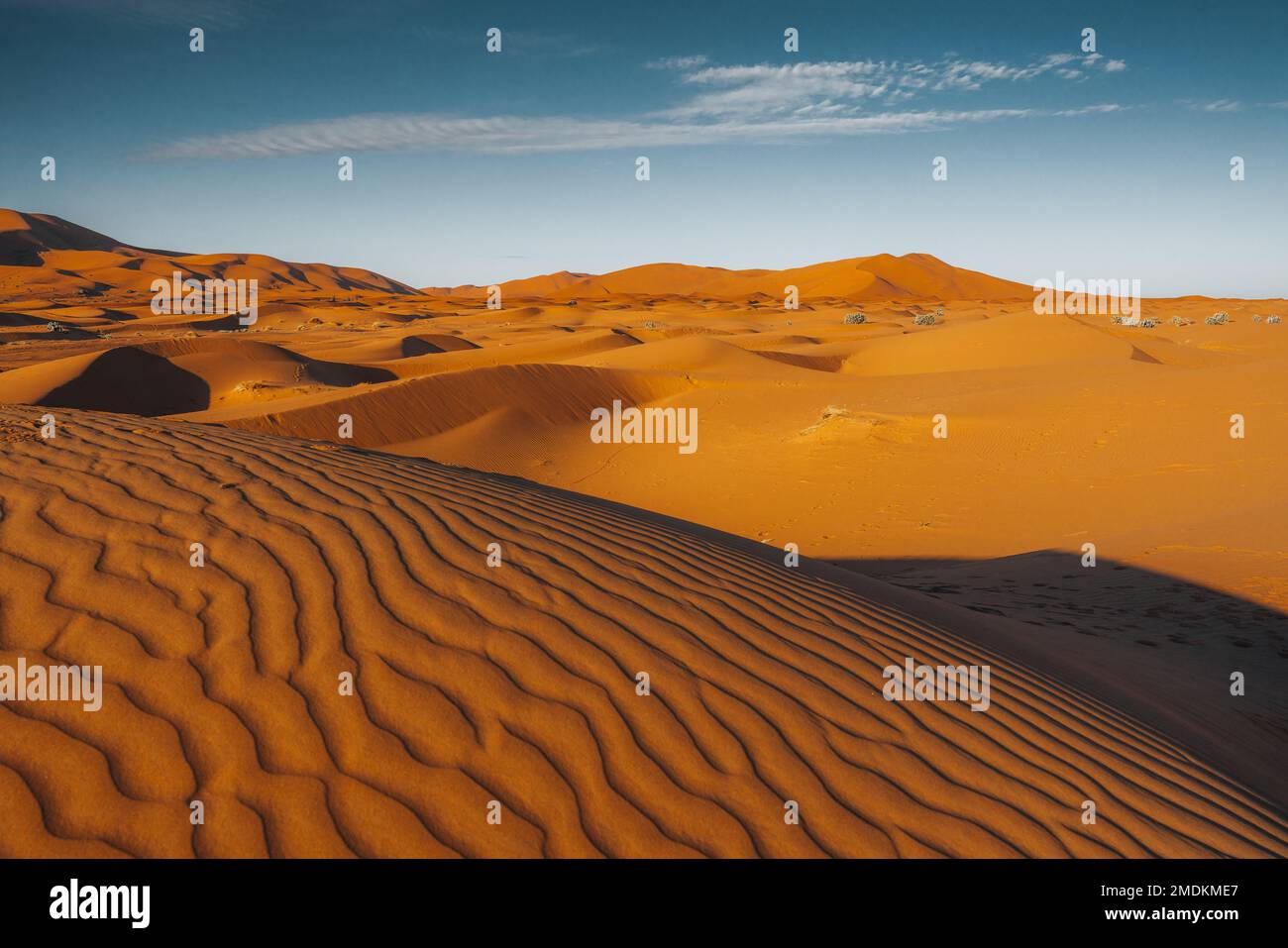 Une vue sur les dunes du désert dans le désert du Sahara, au Maroc Banque D'Images