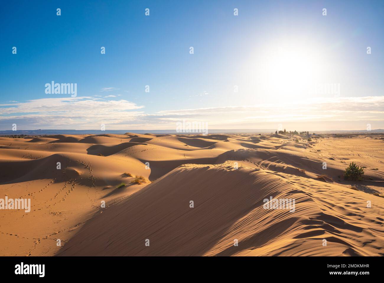 Une vue sur les dunes du désert dans le désert du Sahara, au Maroc Banque D'Images
