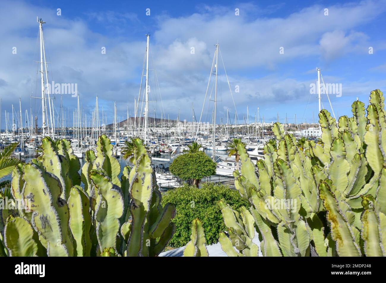Lanzarote & Fortaventura, îles Canaries, Espagne Banque D'Images