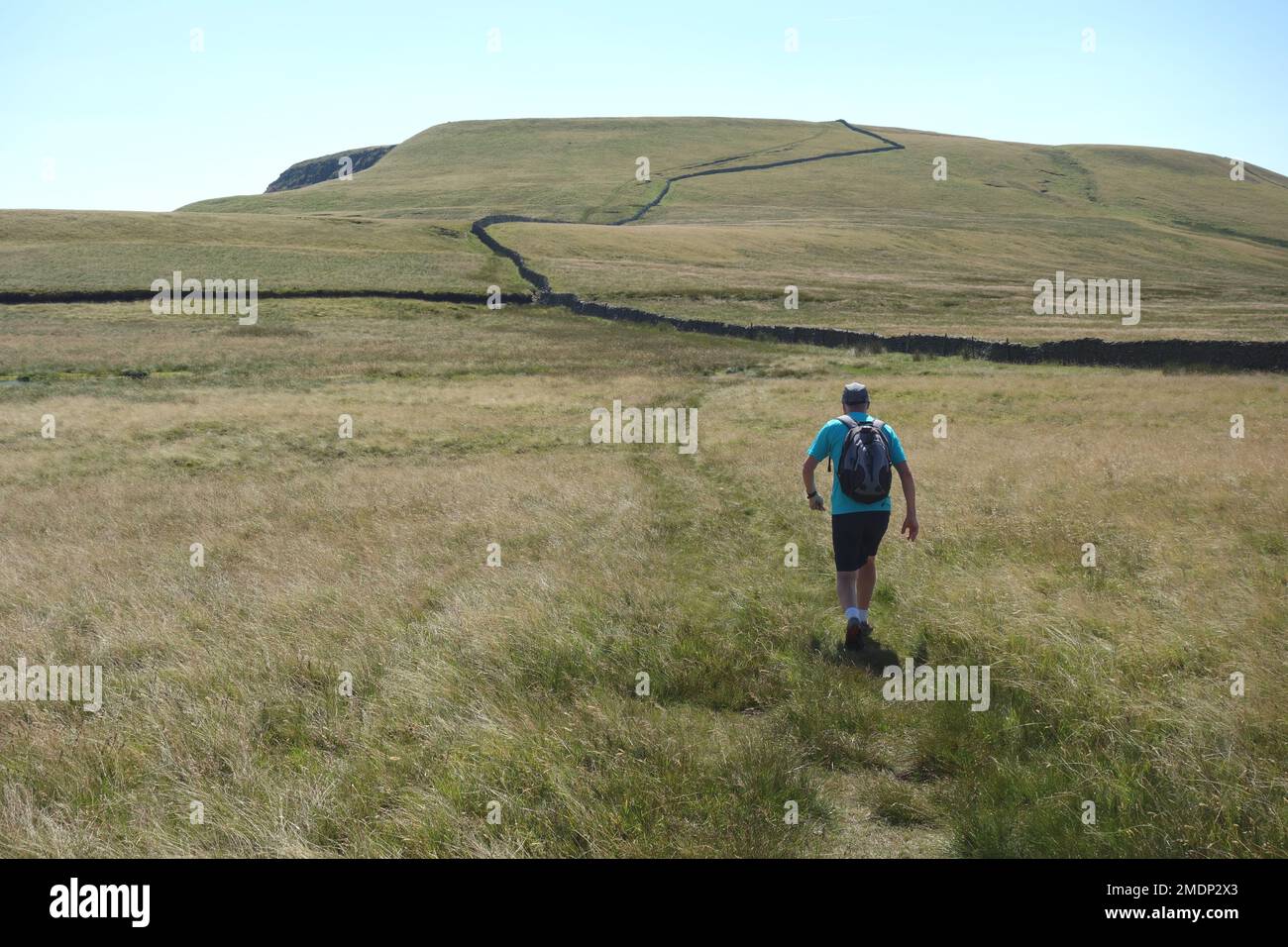 Man (Hiker) marcher sur un chemin par le mur de pierre à Swarth est tombé de Wild Boar est tombé dans la vallée d'Eden dans le parc national de Yorkshire Dales, Angleterre, Royaume-Uni. Banque D'Images