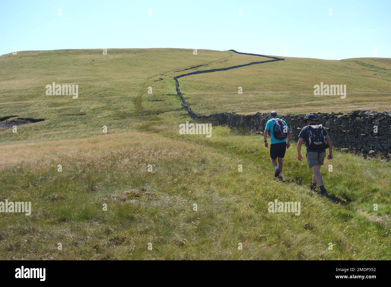 Deux hommes (randonneurs) marchant sur un chemin par le mur de pierre à Swarth est tombé de sanglier est tombé dans la vallée d'Eden dans le parc national de Yorkshire Dales, en Angleterre. Banque D'Images