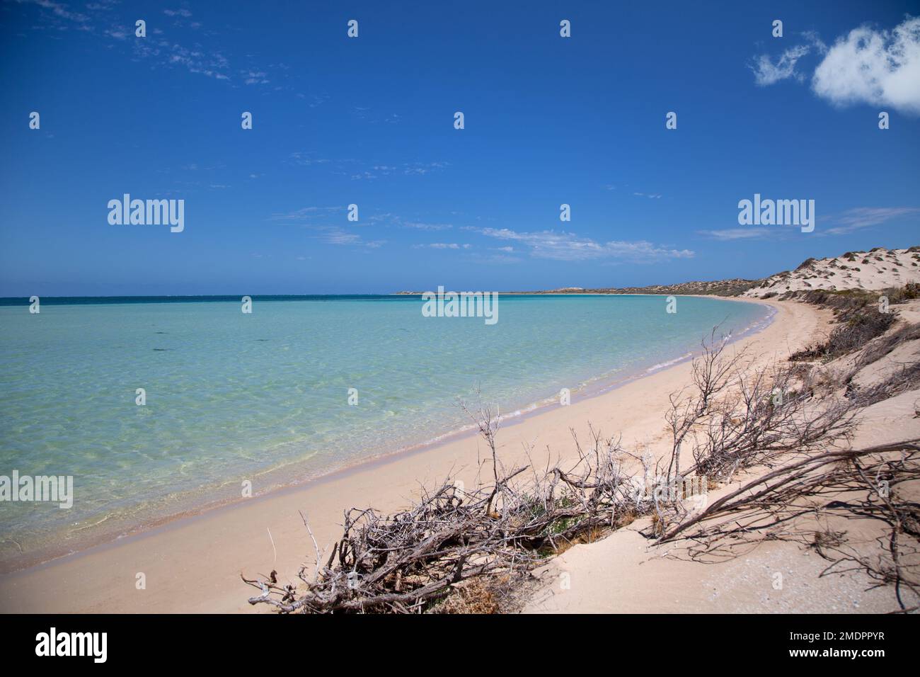 Vue sur les eaux turquoise de la baie au récif de Ningaloo à Coral Bay, Australie occidentale Banque D'Images