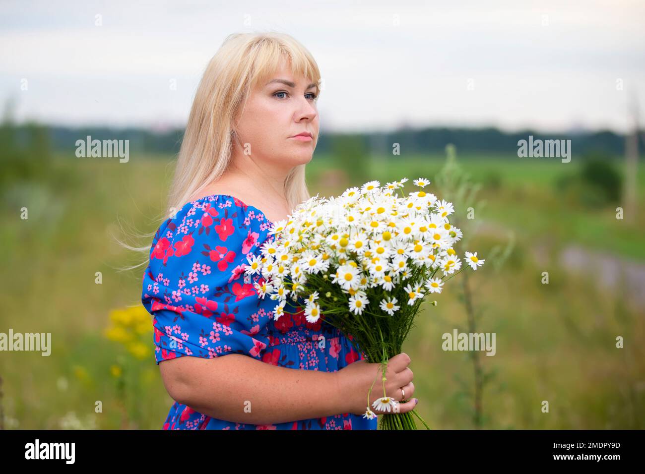 Belle femme de taille plus avec des cheveux blancs dans une robe d'été posant à l'extérieur avec des pâquerettes. Fille de chubby dans un pré avec des fleurs. Banque D'Images