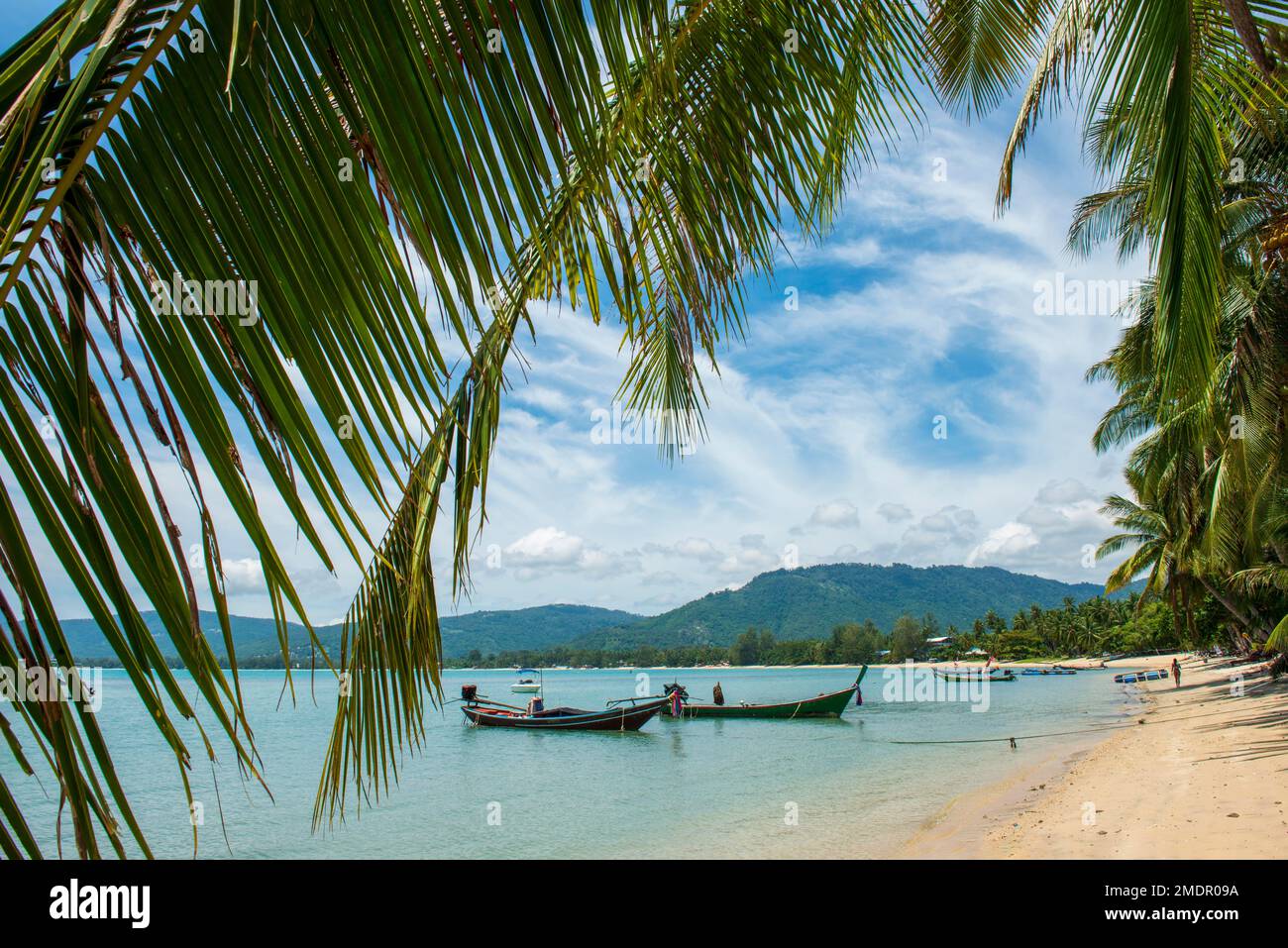 Palm Beach, Lipa Noi Beach, Ko Samui Island, Thaïlande, Asie Banque D'Images