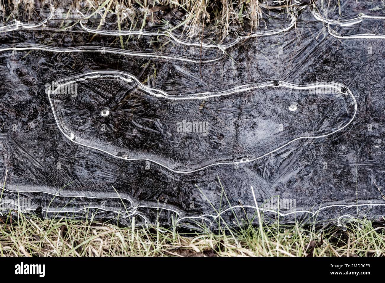 Brisures de glace sur l'eau de l'île de la mer des wadden Fanoe fanø, Danemark Banque D'Images