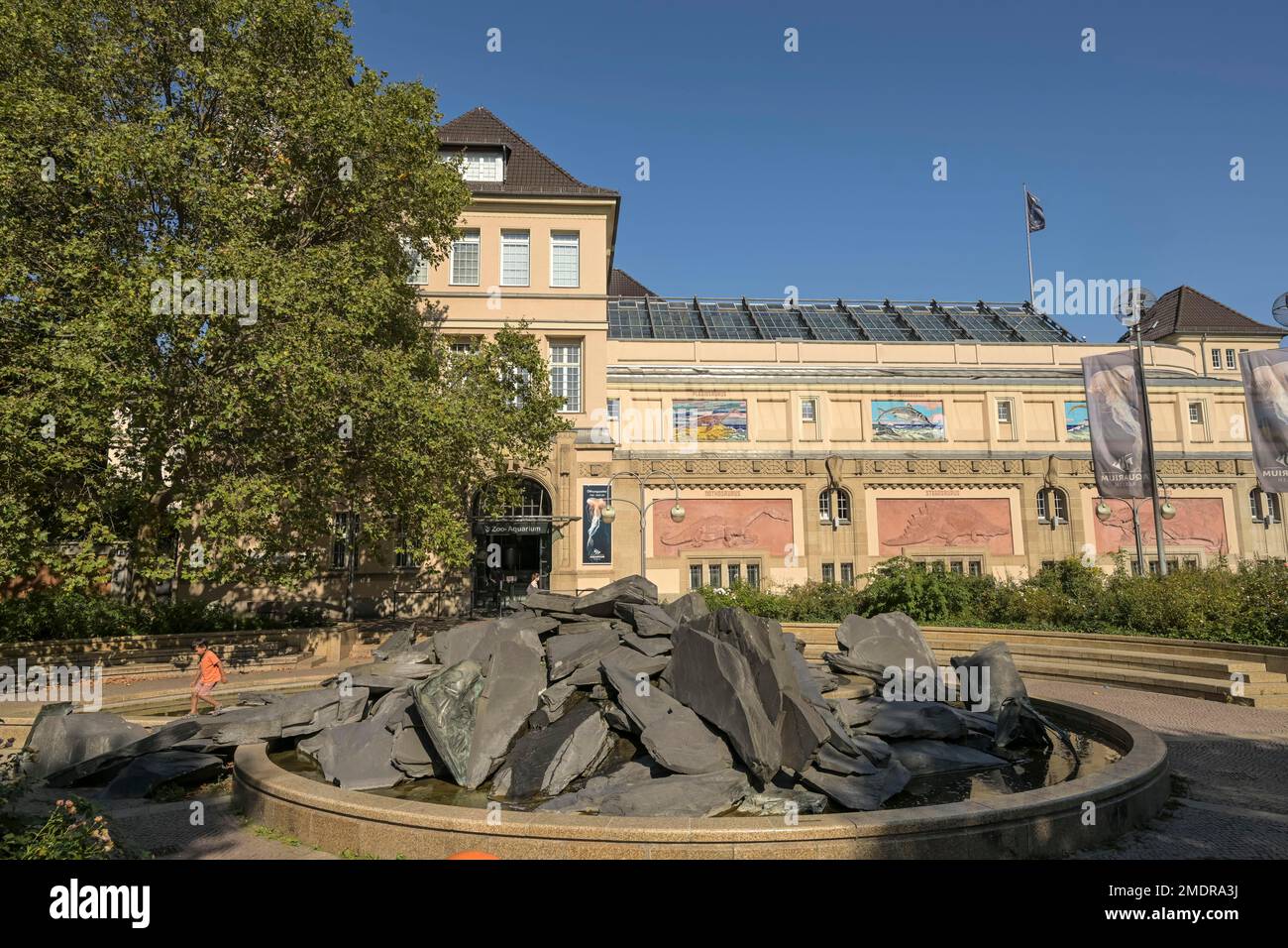 Aquarium, Olof-palmier-Platz, Tiergarten, Mitte, Berlin, Allemagne Banque D'Images