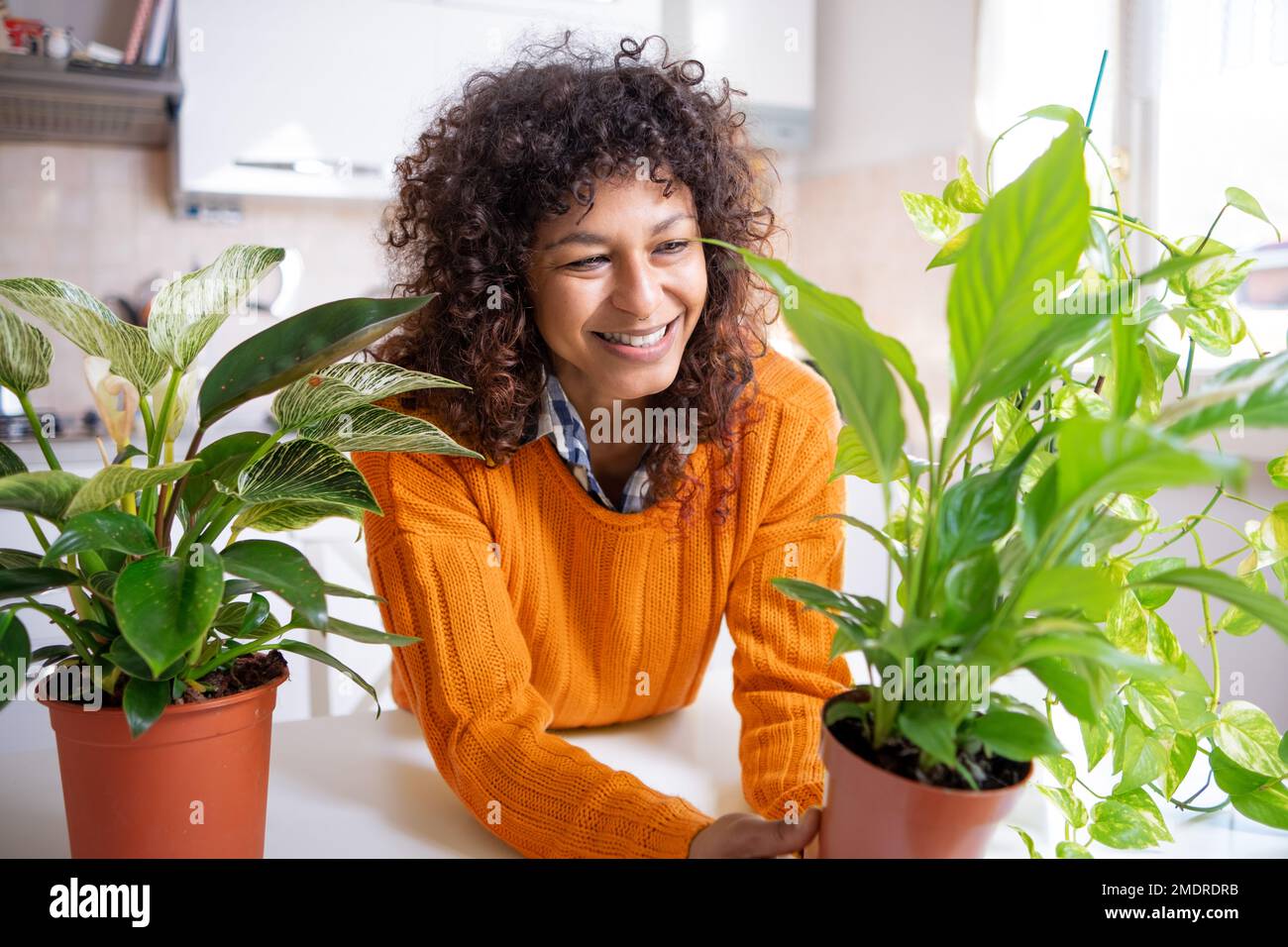 Bonne femme noire prenant soin et plante parent des plantes à la maison Banque D'Images