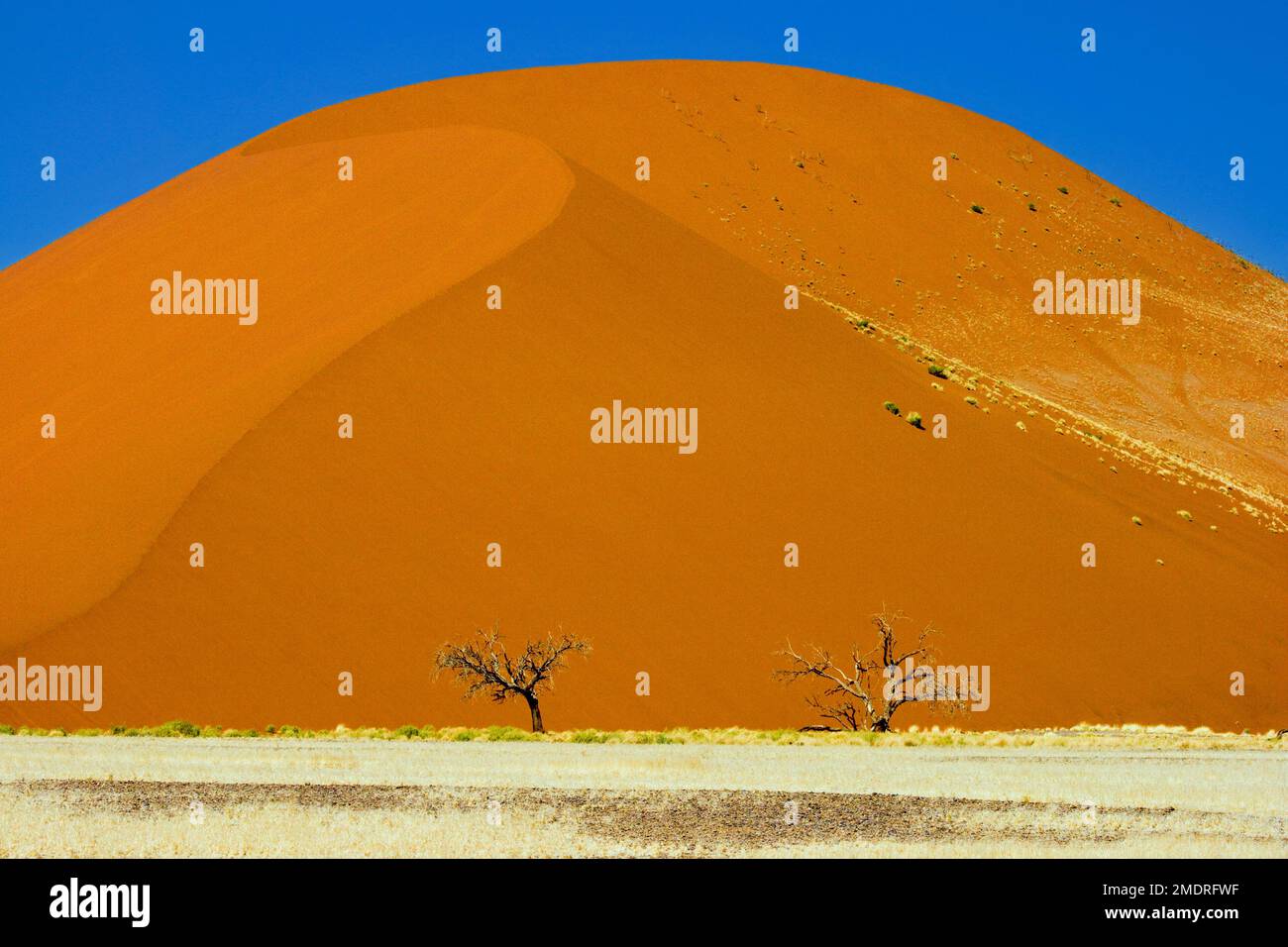 Dunes de sable, parc Namib-Naukluft, Namibie. Banque D'Images
