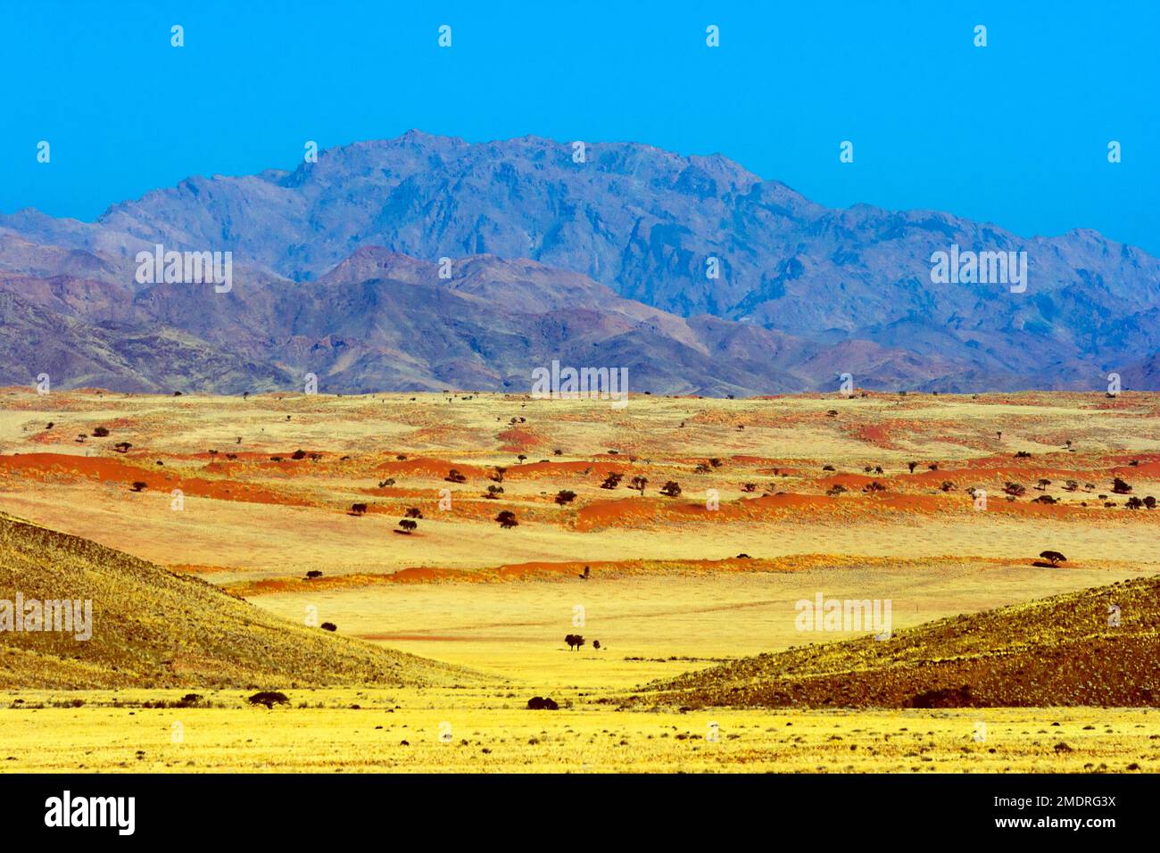 Paysage sur la route Sossusvlei-Lüderitz. Désert du Namib, Namibie. Banque D'Images