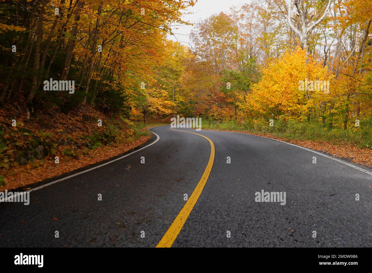 Route en automne dans les Berkshires Banque D'Images