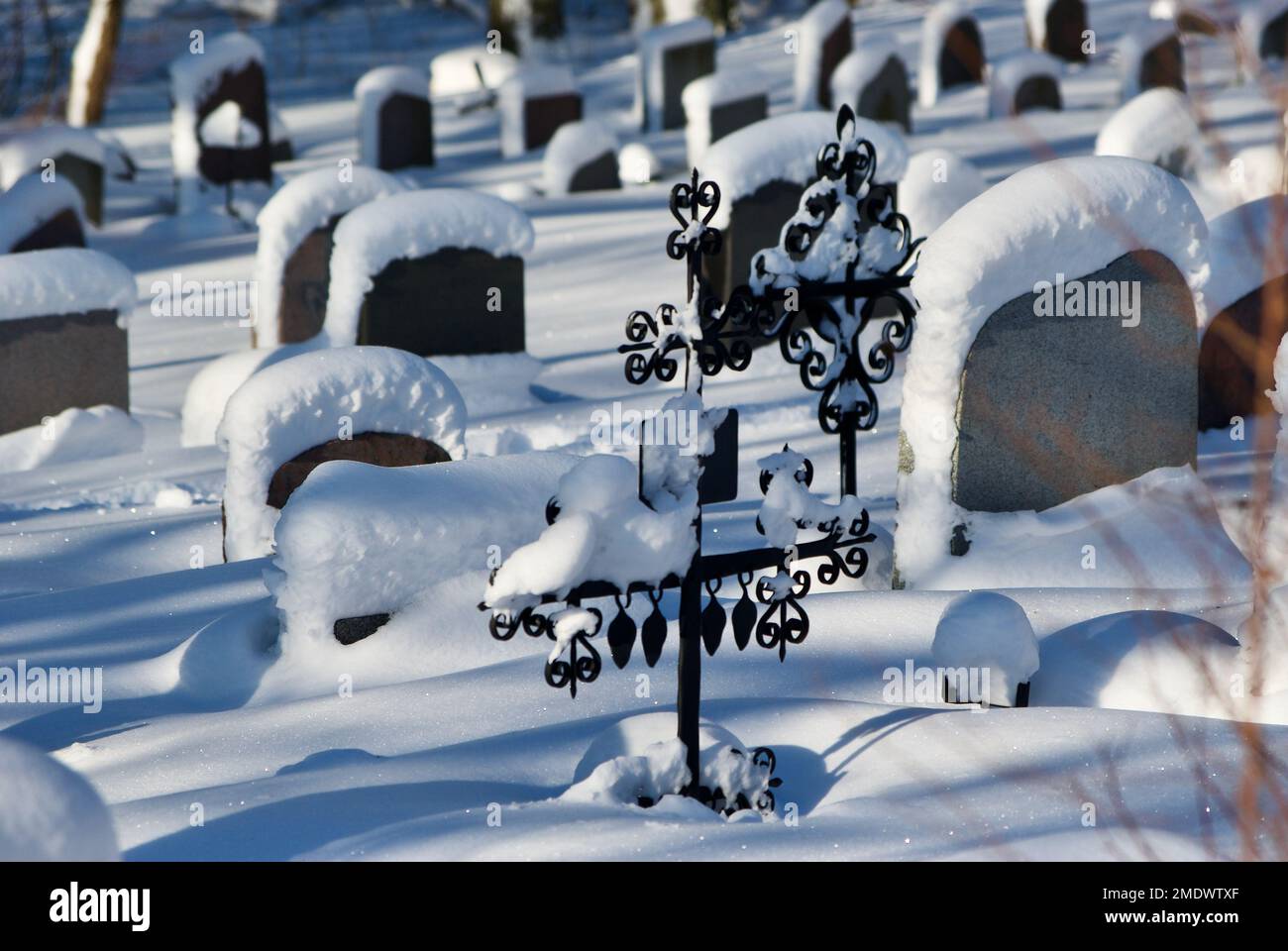 De nombreuses pierres tombales dans un vieux cimetière avec beaucoup de neige en hiver. Banque D'Images