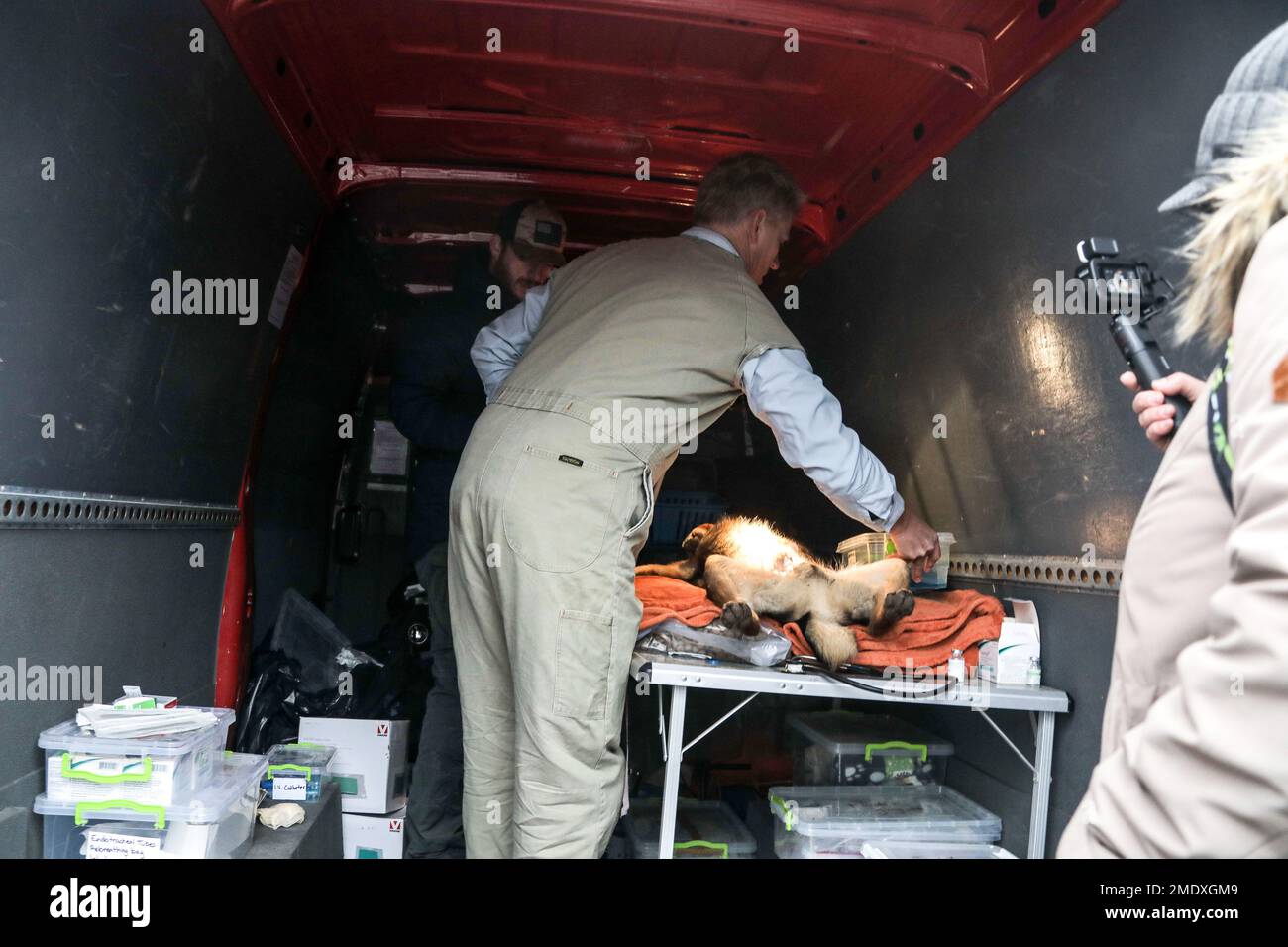 Non exclusif: KHERSON, UKRAINE - 22 JANVIER 2023 - Un volontaire britannique, le Dr Scott Miller a remué un chien sur le terrain dans une camionnette, Kherson, dans le sud d'Ukrain Banque D'Images