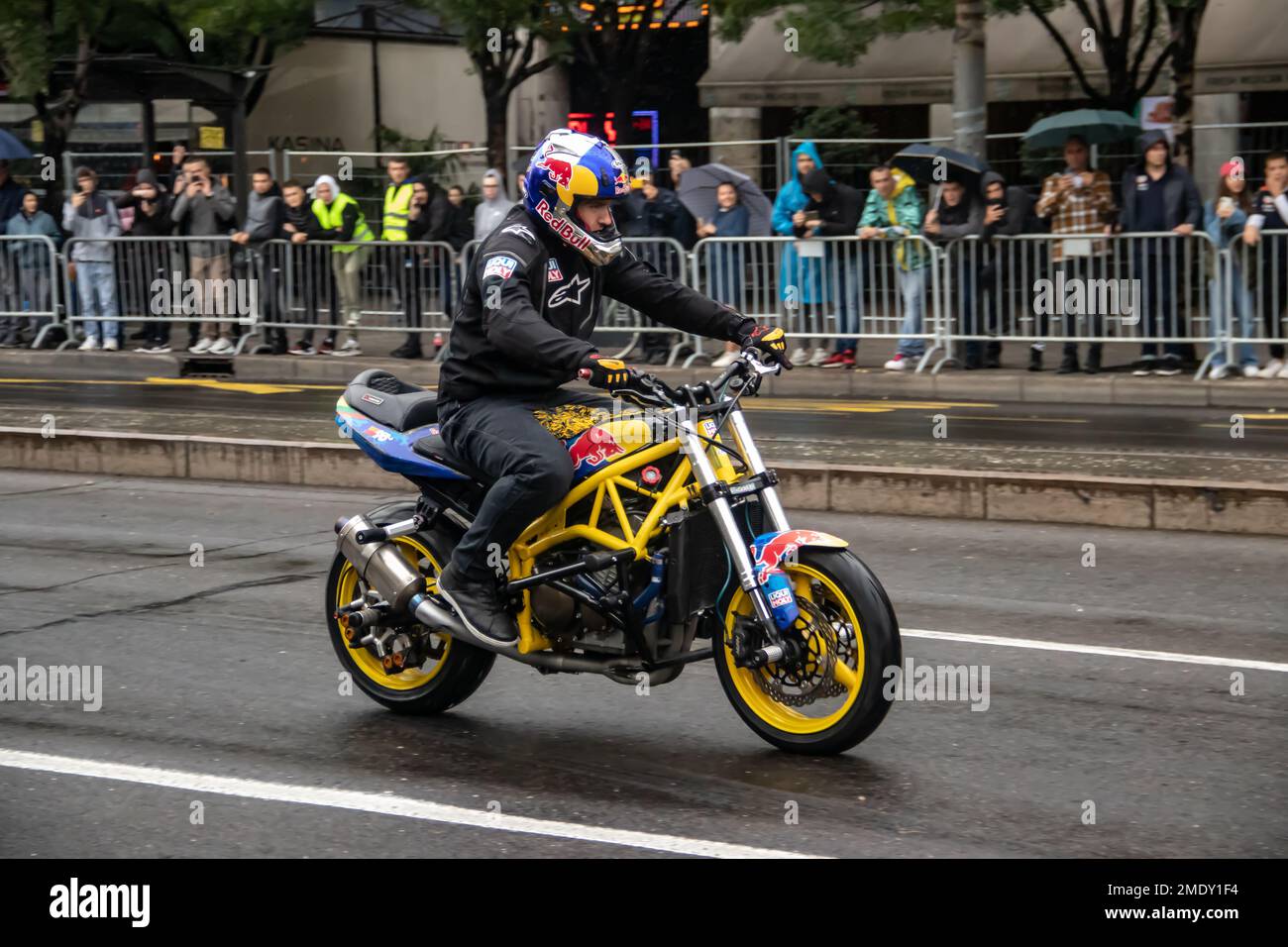 Attrayant pilote de moto de marque Red Bull sur sa moto en train de performer dans les rues de Belgrade, en Serbie Banque D'Images