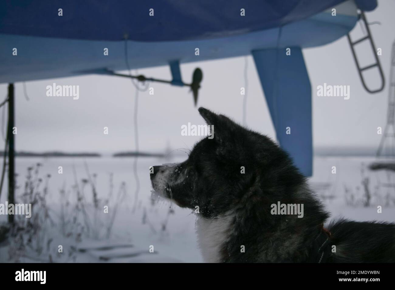 Photos hivernales enneigées prises à Tampere, en Finlande. Les bateaux sont amarrés sur la rive et couverts de neige et de glace. L'hiver est venu et a l'air glacial. Banque D'Images