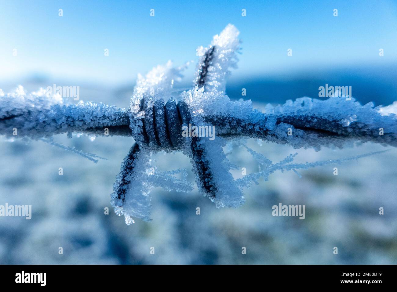 Brighton, 8 décembre 2022 : barbelés dans la neige dans le parc national de South Downs à Devil's Dyke Banque D'Images