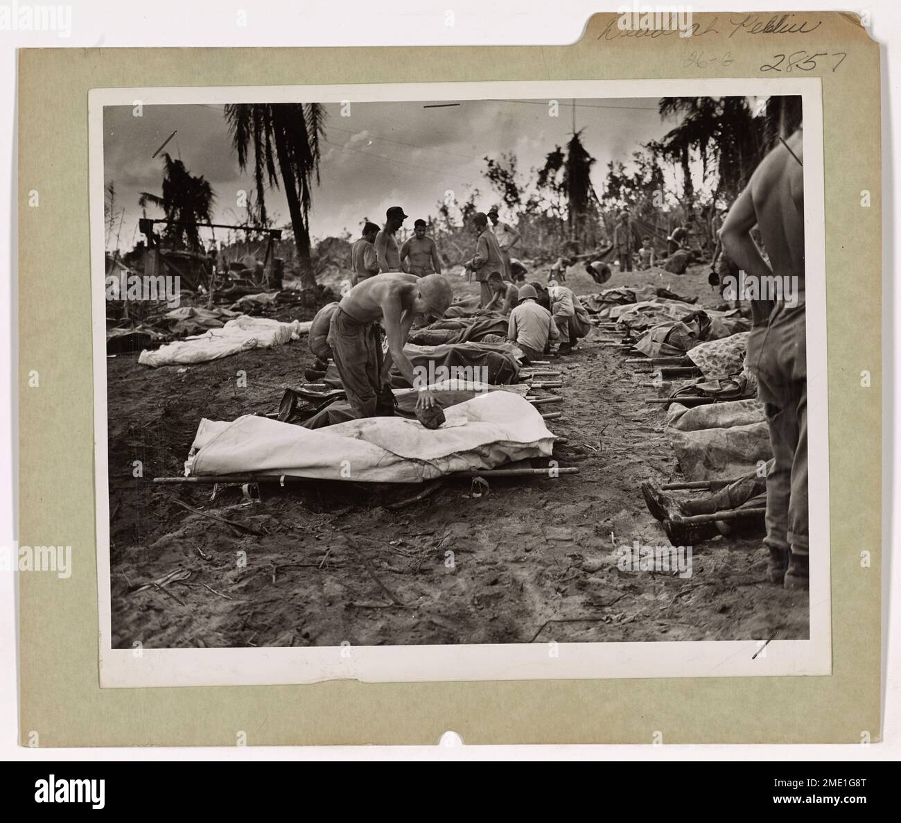 The Dead at Peliu -- Row on Row. Les défenseurs japonais de l'île de Peleliu dans les Palaus ont combattu fanatiquement les envahisseurs américains. Cette sinistre photo, réalisée par un photographe de combat de la Garde côtière, montre des morts américains enveloppés de toile et de couvertures attendant d'être déversés dans un cimetière des mers du Sud. Après deux semaines de bataille acharnée, les Américains avaient poussé leurs ennemis tenaces dans une poche étroite et se sont enlassés. Banque D'Images