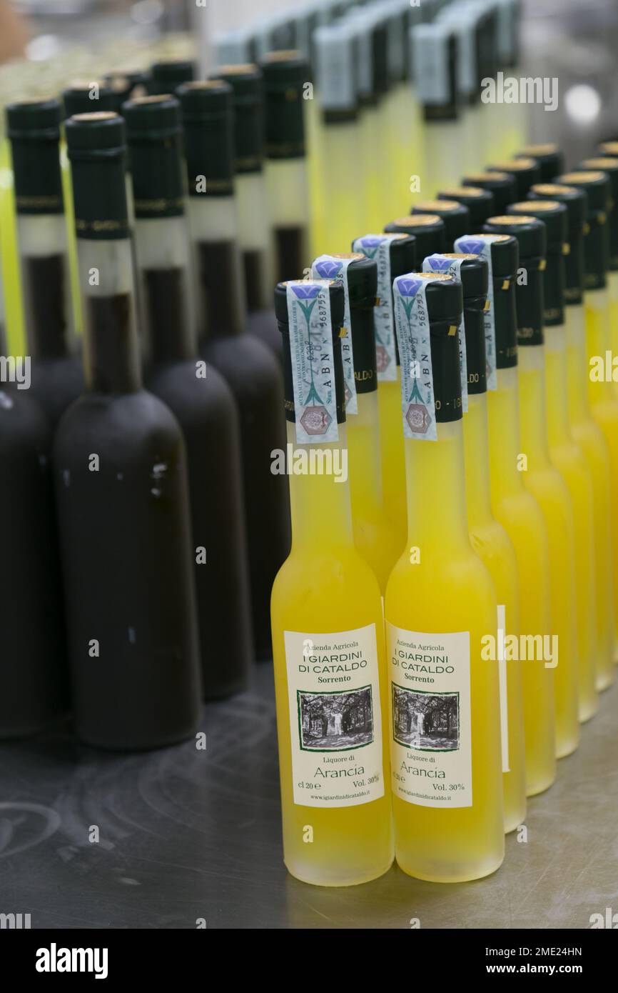 Bouteilles à boire : comparer et découvir | P'tit Colis