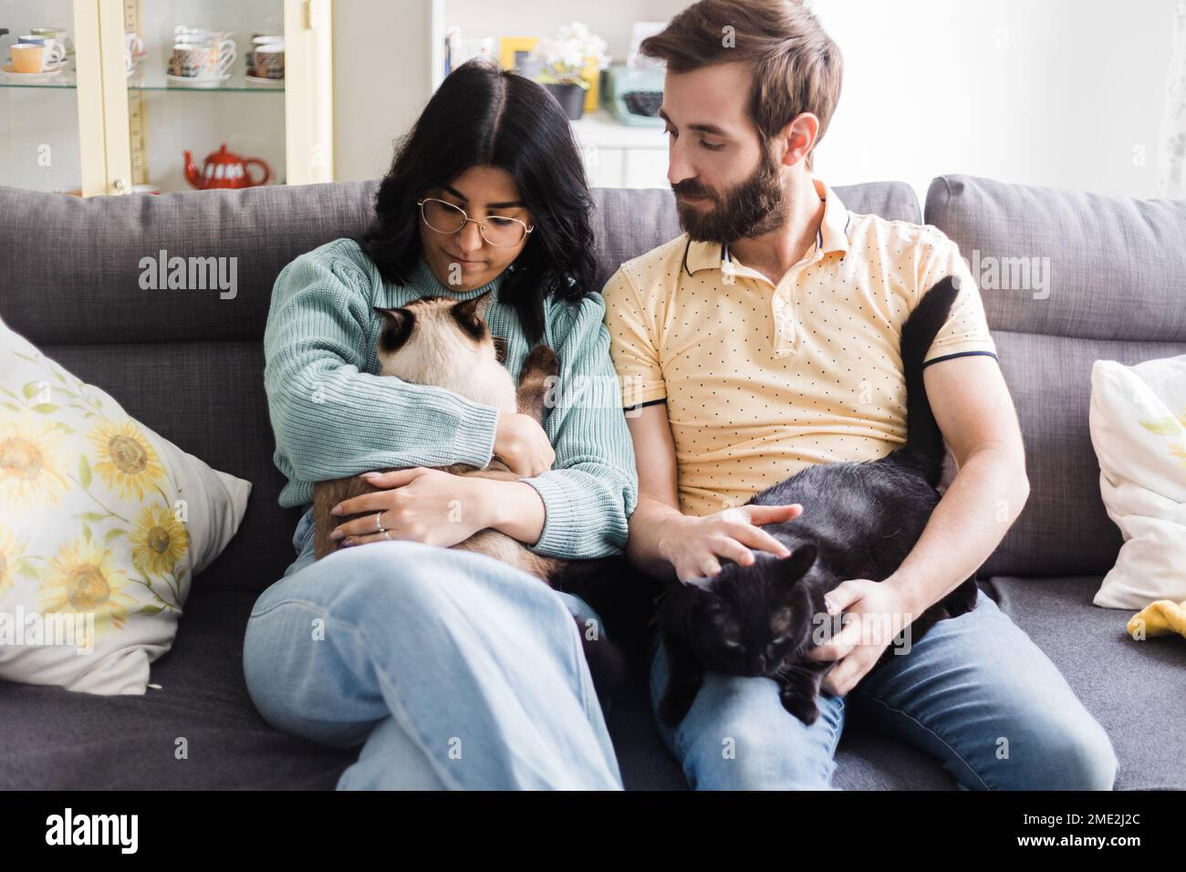 Content jeune couple en tenues décontractées se reposant sur un canapé ensemble et caressant les chats tout en passant du temps à la maison pendant le week-end Banque D'Images