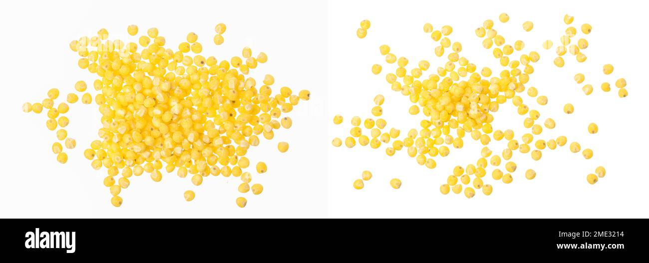 Millet isolé sur fond blanc. Vue d'en haut Banque D'Images