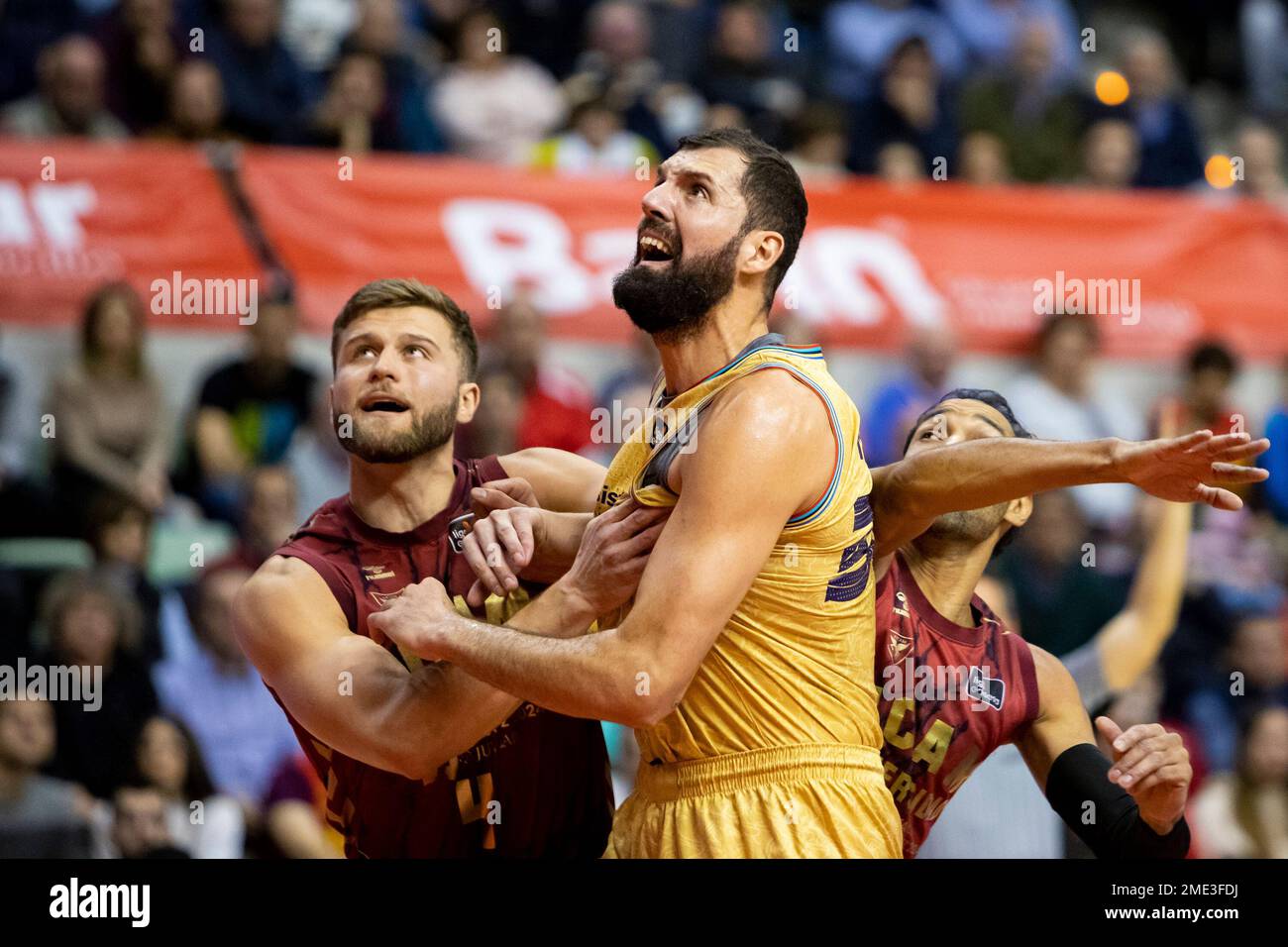 RYAN LUTHER et NIKOLA MIROTIC se battent pour le ballon pendant le match, UCAM Murcia CB contre BARÇA, ACB, ligue de basket-ball Endesa, première division de basket-ball Banque D'Images