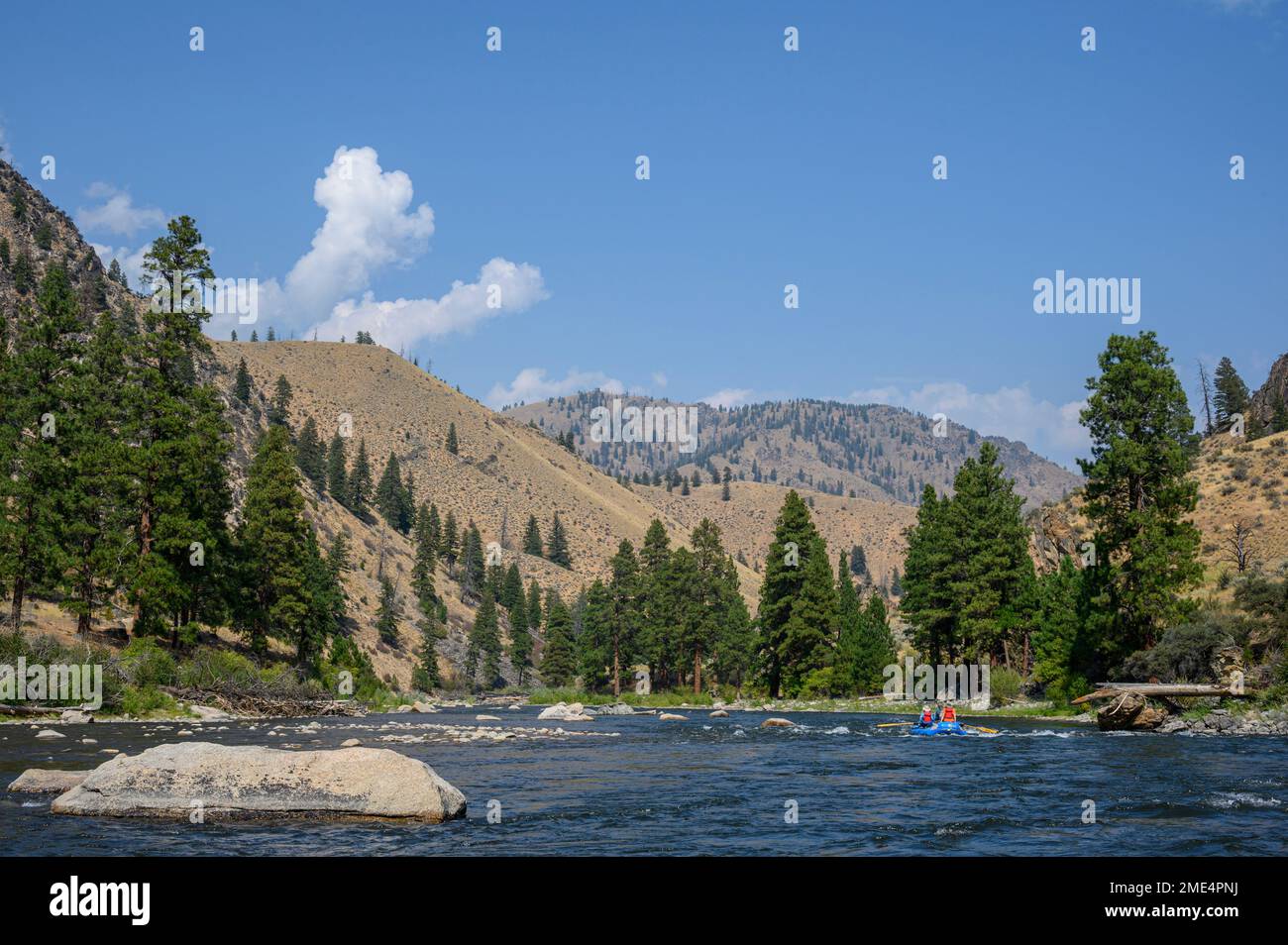 Middle Fork Salmon River en Idaho avec Far and Away Adventures. Banque D'Images