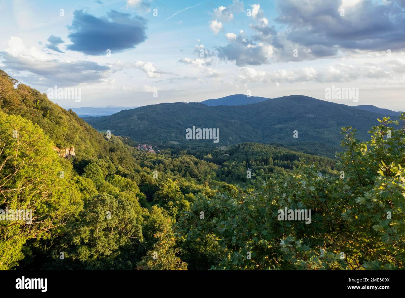 Vaste paysage verdoyant sous ciel nuageux Banque D'Images