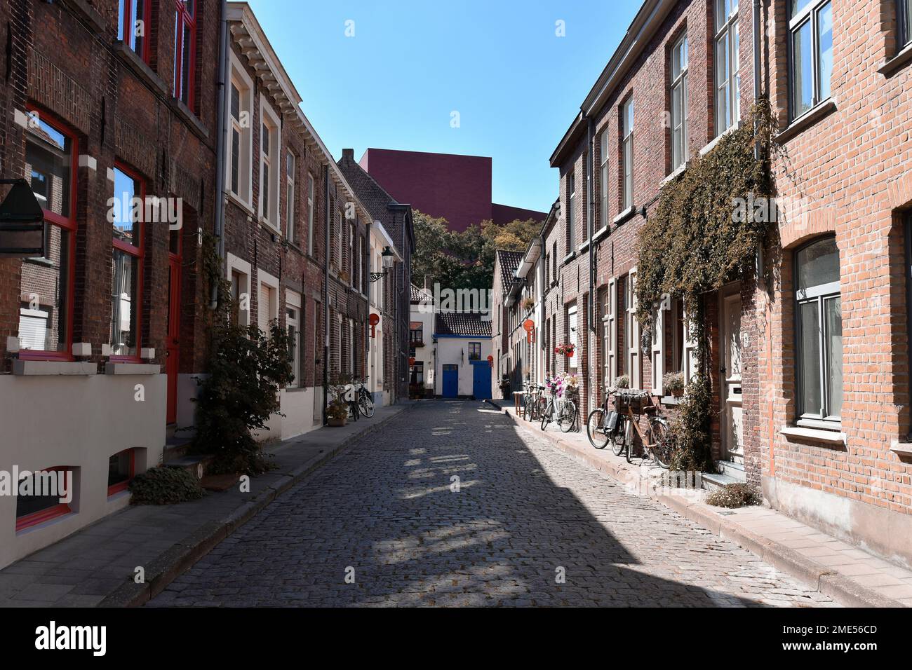 Belgique, Flandre Occidentale, Bruges, rue pavée vide avec des rangées de maisons de ville de chaque côté Banque D'Images