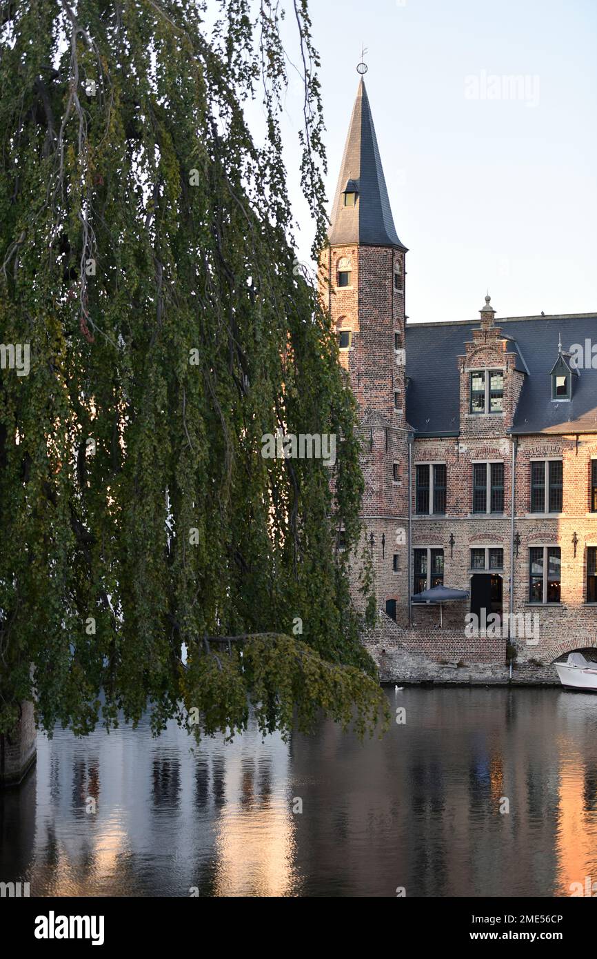 Belgique, Flandre Occidentale, Bruges, Rivière de la ville avec saule en premier plan et tour à poil en arrière-plan Banque D'Images