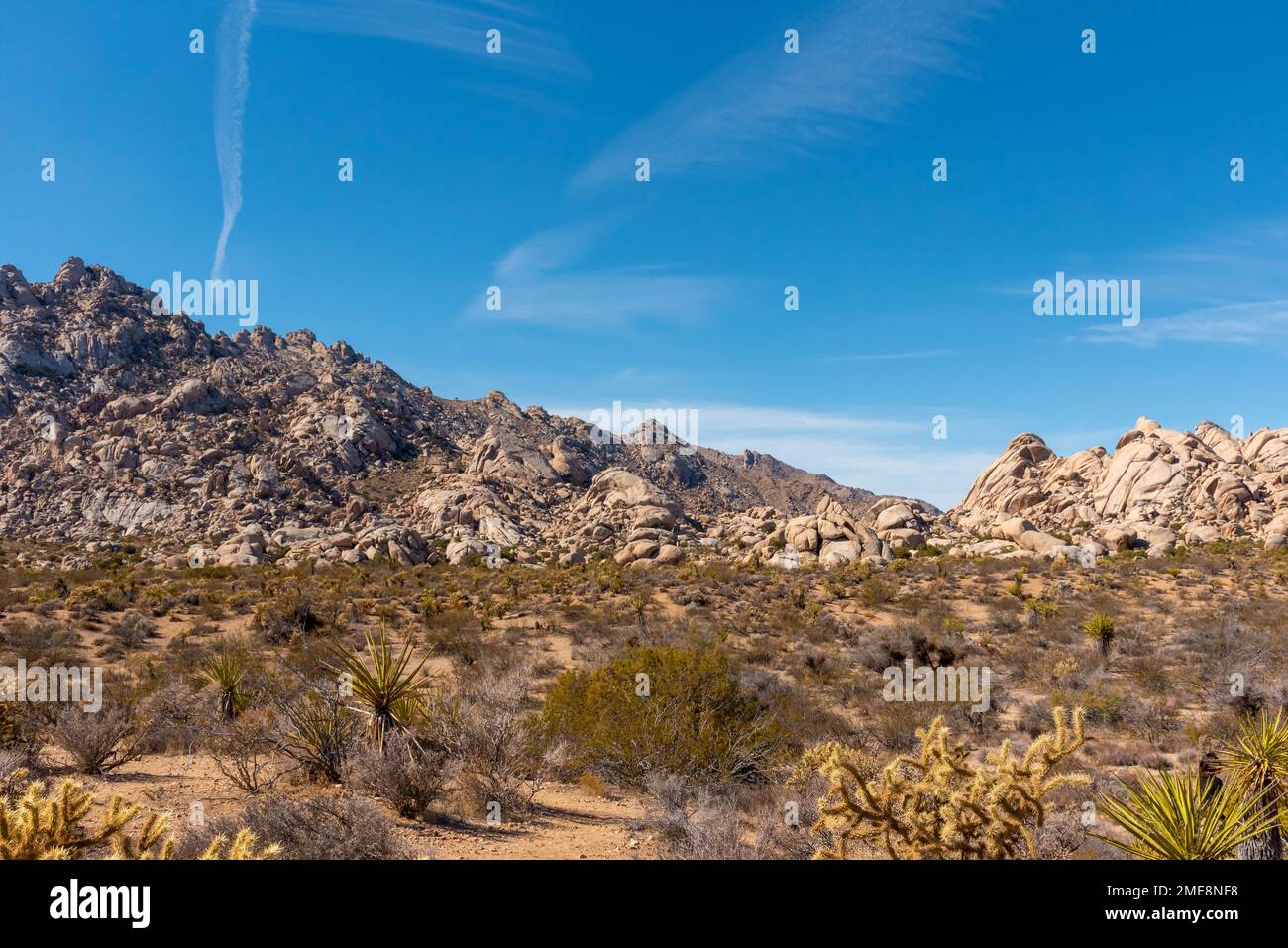 Vue sur le paysage depuis le désert de Mojave, Californie, États-Unis d'Amérique. Banque D'Images