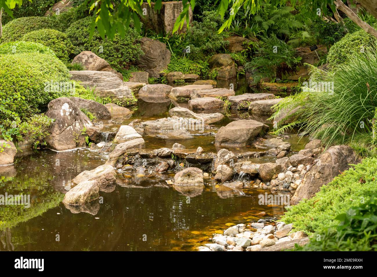 Ruisseau doux qui coule sur et autour des rochers et des rochers aux jardins botaniques de Brisbane dans le Queensland Banque D'Images