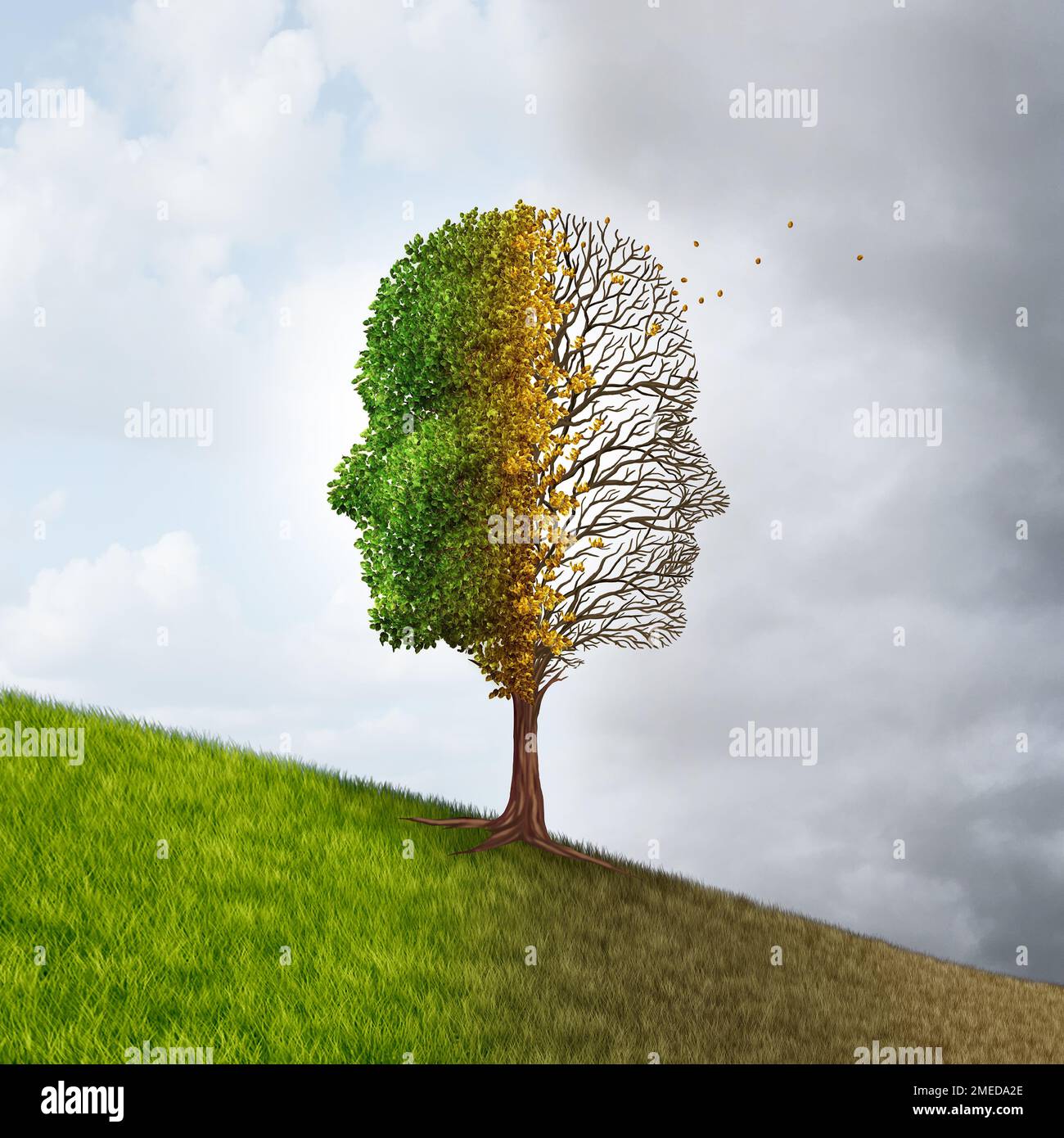Déclin cognitif et perte de mémoire ou démence comme maladie d'Alzheimer ou déficience cognitive due à la détérioration du cerveau et à la neurodégénérescence Banque D'Images Déclin cognitif et perte de mémoire ou démence comme maladie d'Alzheimer ou déficience cognitive due à la détérioration du cerveau et à la neurodégénérescence Banque D'Images