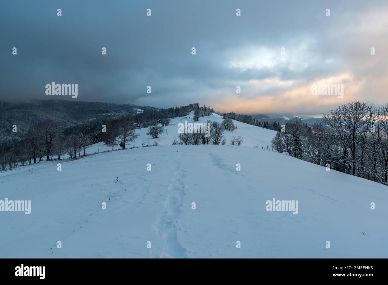 Matin d'hiver généralement nuageux sur la crête de Cienkow près de la station Wisla dans les montagnes de Beskid Slaski en Pologne Banque D'Images