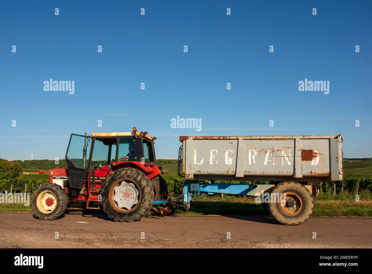 Les vignobles AOP de Chablis en fin d'été, Bourgogne, France Banque D'Images